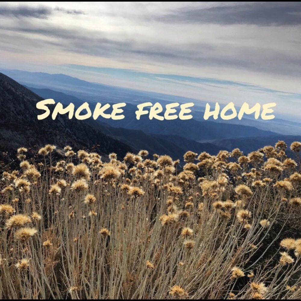 All items come from Smoke free home